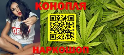 мяу мяу мука Краснознаменск