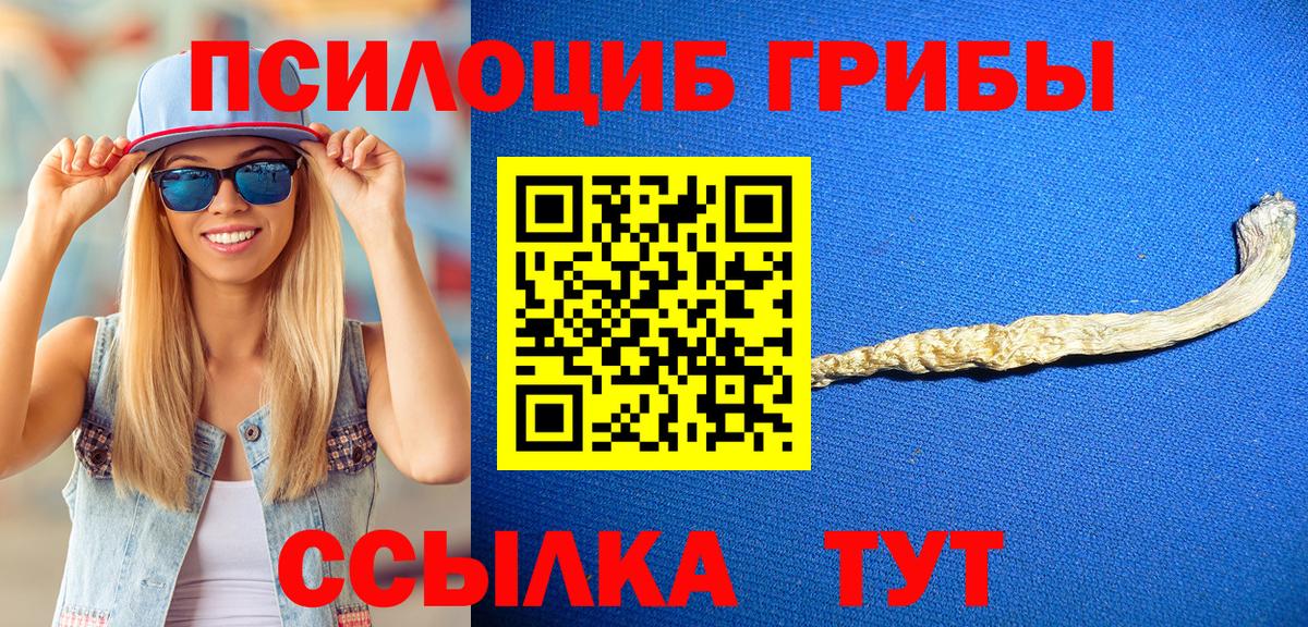 Галлюциногенные грибы прущие грибы  Псилоцибиновые грибы Magic Shrooms  Кохма  Вход с VPN 